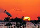 Everglades National Park