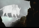 The Ghost White Buffalo
