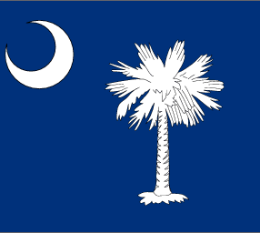 bandiera South Carolina