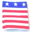 Polsino USA