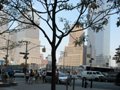 Ground Zero