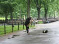 Central Park