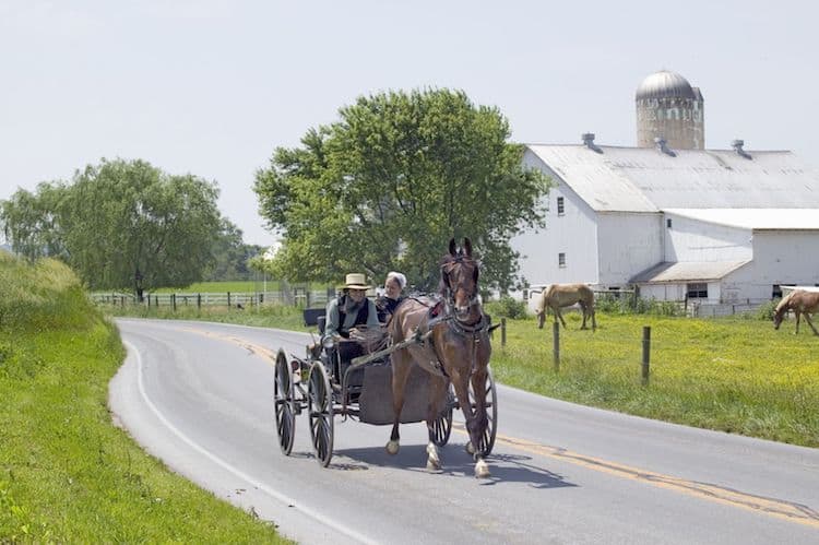 Amish negli Usa