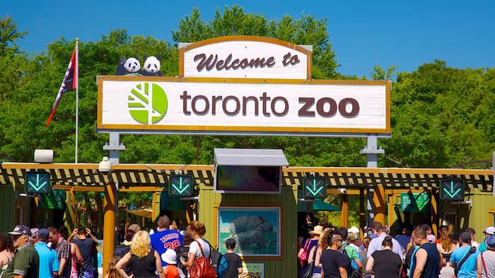 Zoo di Toronto