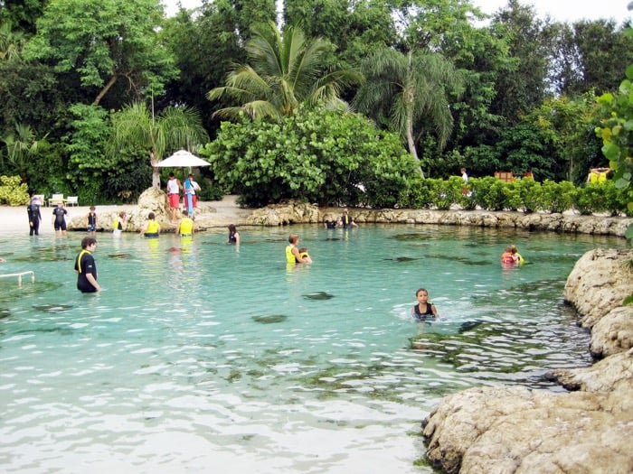 Discovery Cove, Orland