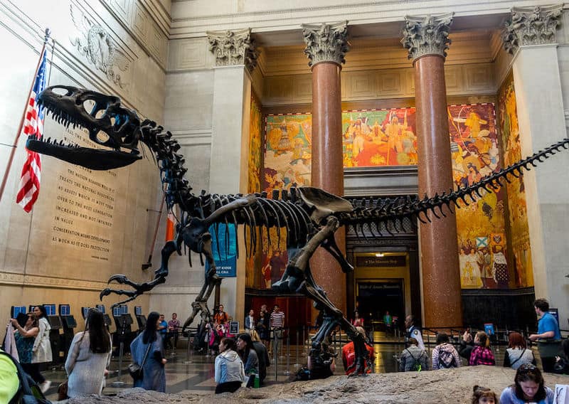 Museo di Storia Naturale, New York