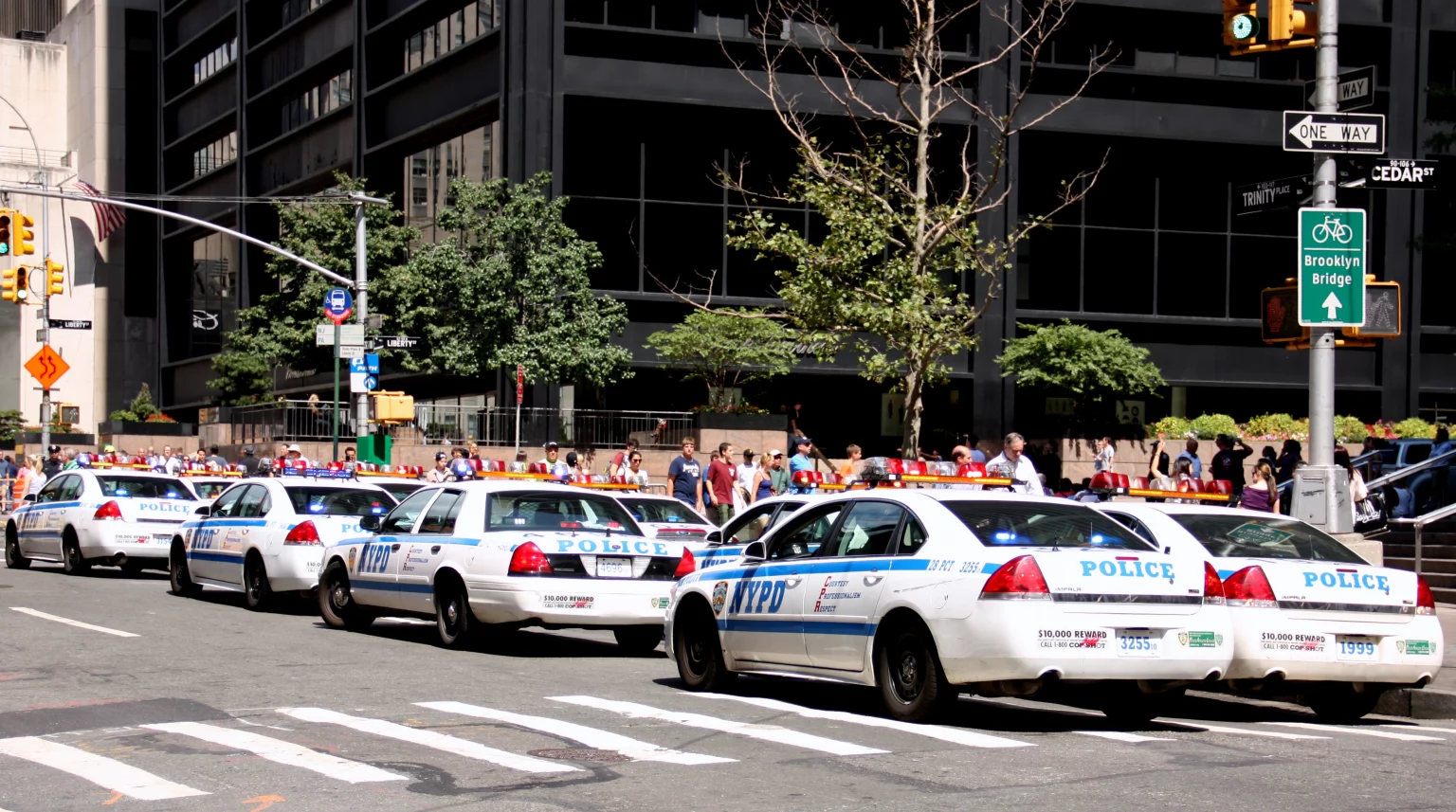 nypd polizia di new york
